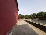 绿树红墙