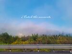 沿途风景