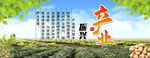 产业振兴