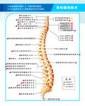 脊柱外科技术概况