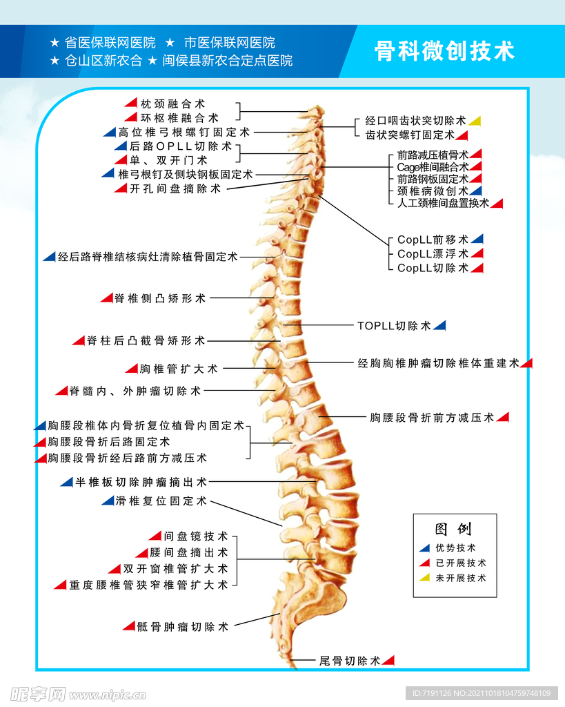 脊柱外科技术概况