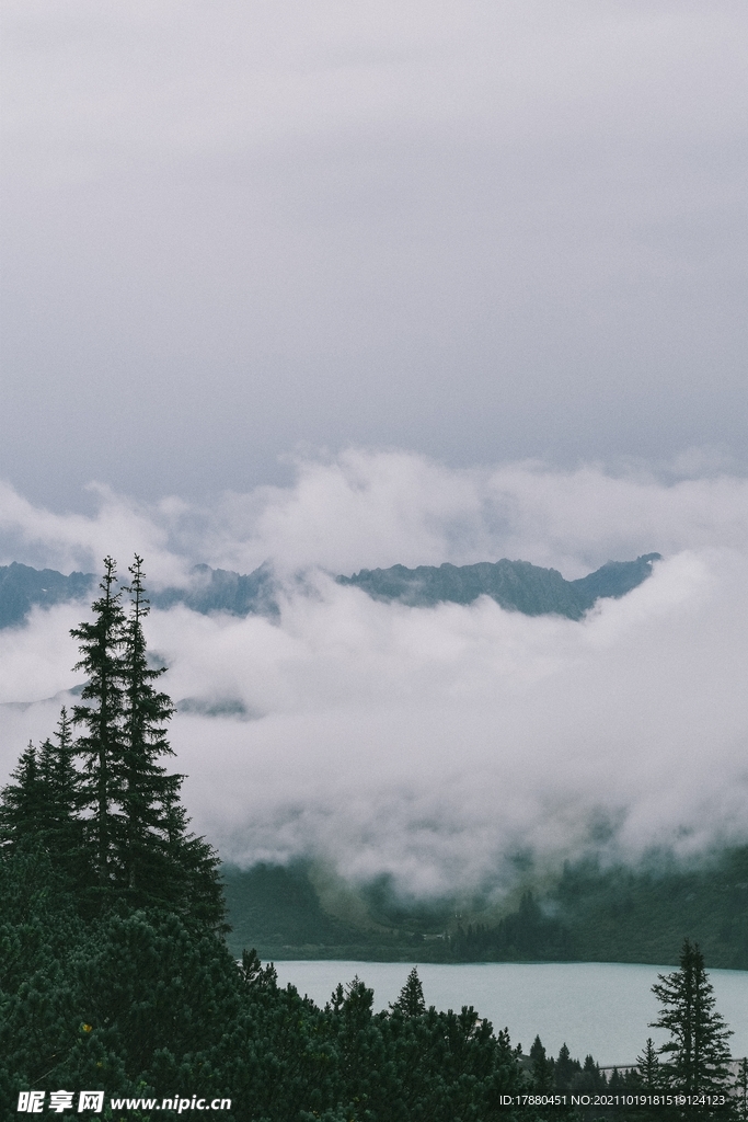山林