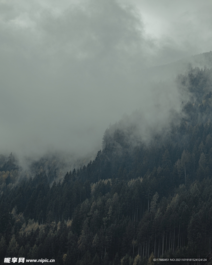 山林