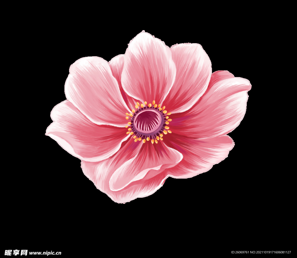 手绘花朵
