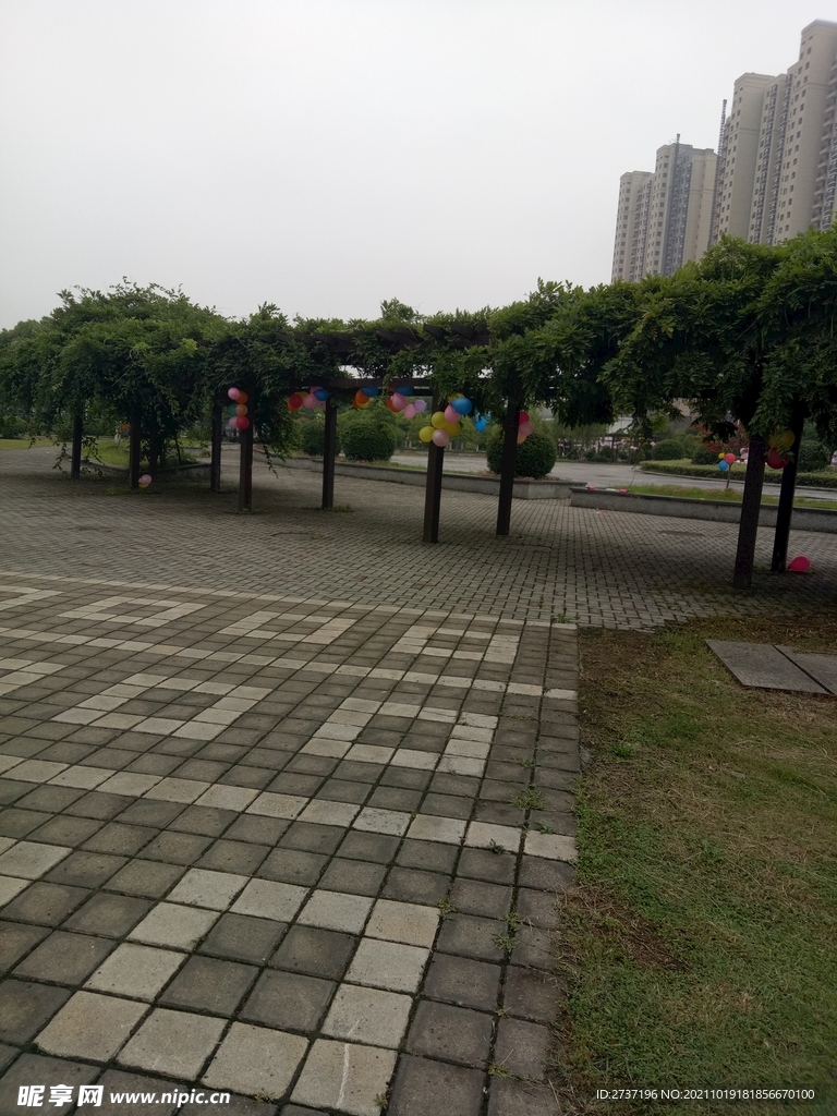 校园风景