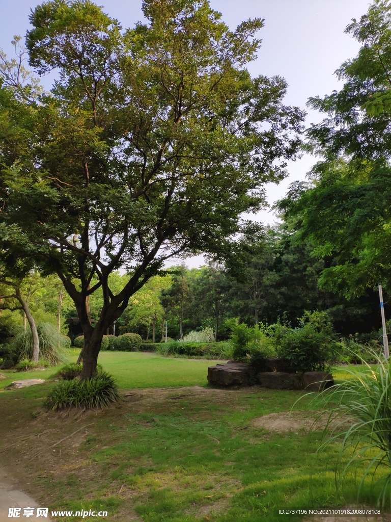 公园风景