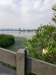 蠡湖风景