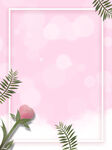  粉色玫瑰花背景
