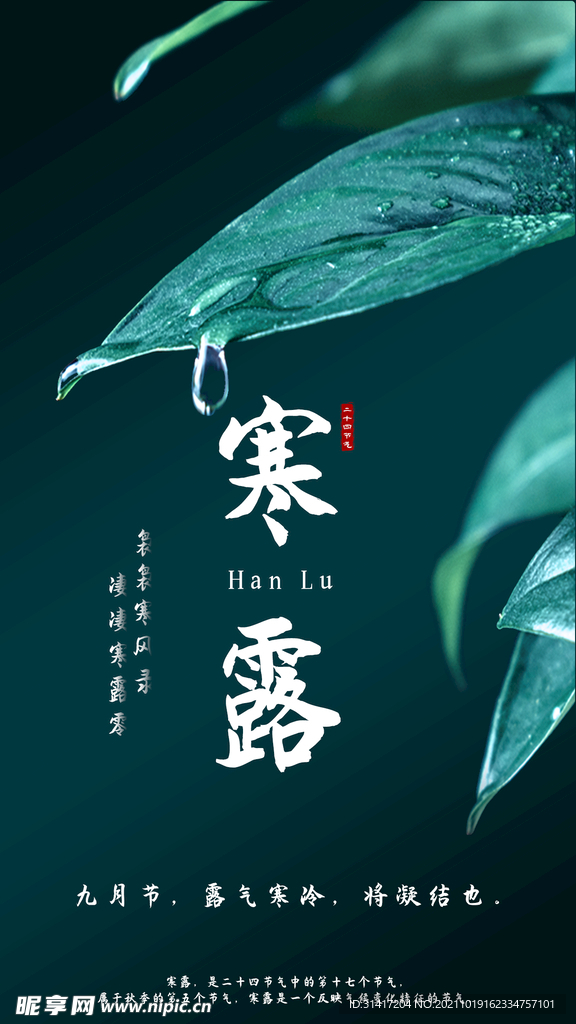 寒露