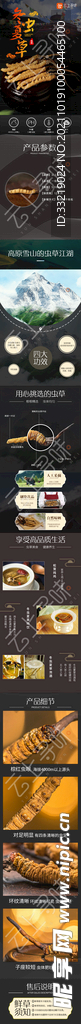 虫草详情页