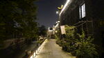 杭州西溪湿地洪园夜景 