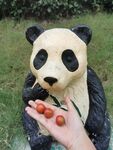 卡通熊猫 
