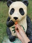 熊猫 音响 风景 卡通
