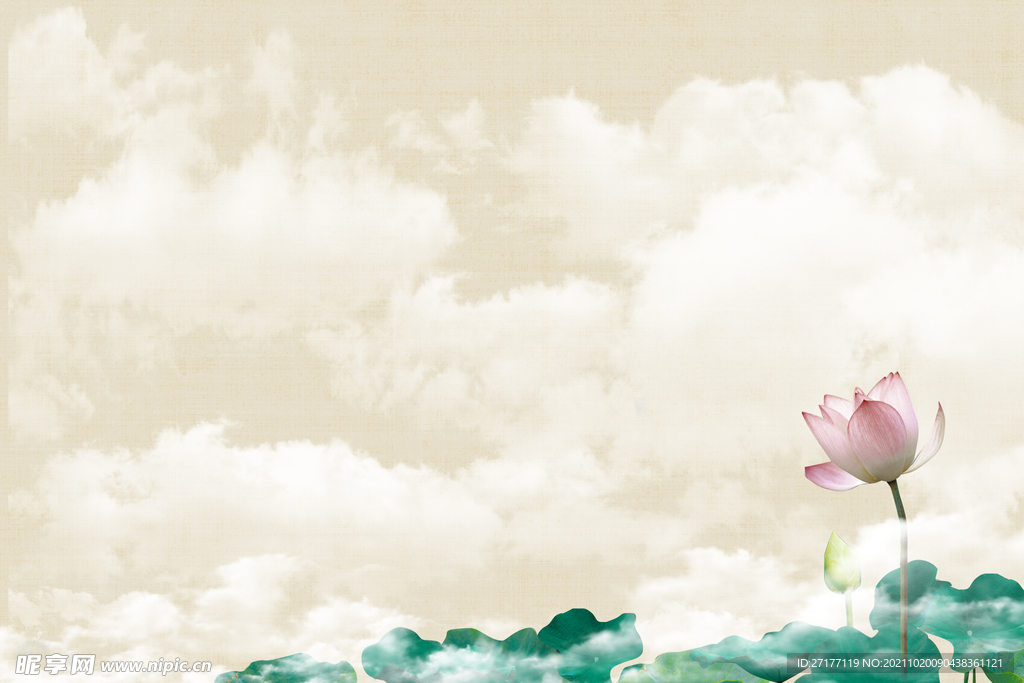 荷花