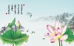 荷韵