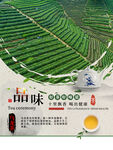 茶              
