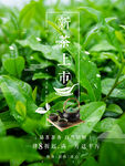 茶              