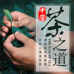茶              