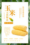 健康粗粮玉米