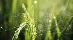 智能农业与农业物联网