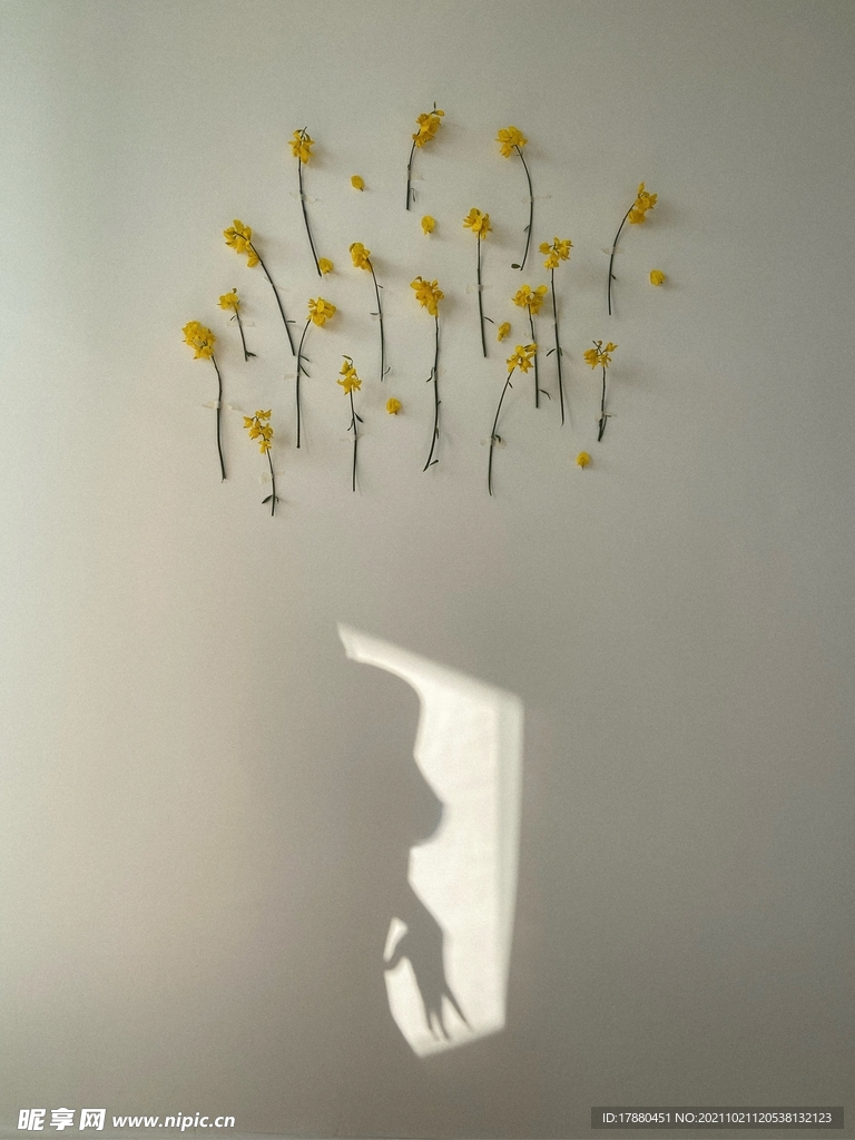花卉