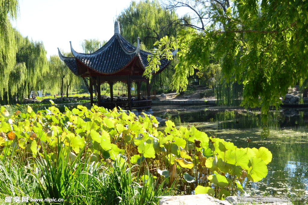 陶然亭风景 