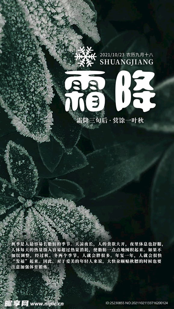 霜降海报
