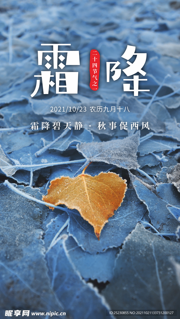 霜降海报