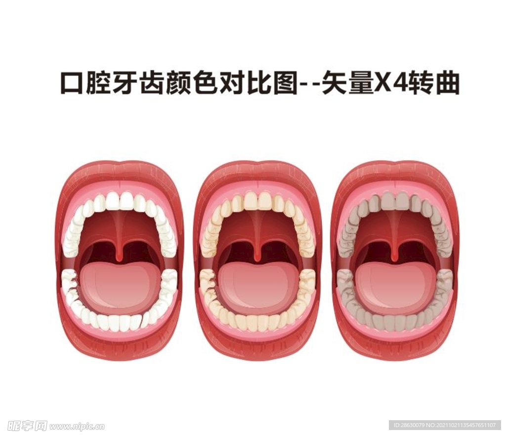 口腔牙齿