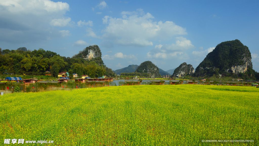 峰林油菜花