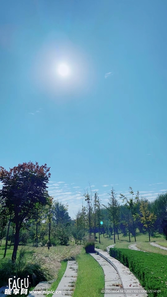 风景