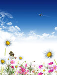 天空白云花朵背景底图