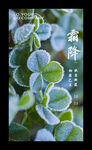 二十四节气 霜降