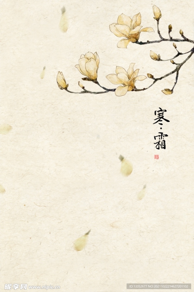玉兰