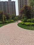 城市小区