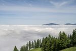 阿尔卑斯山