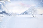 冬季雪景