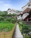 乡村振兴 环境整治
