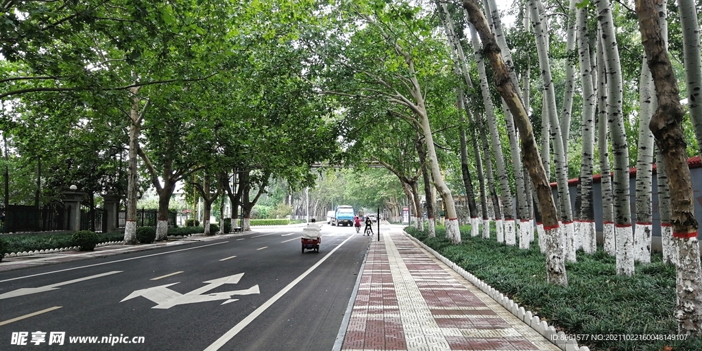 清晨