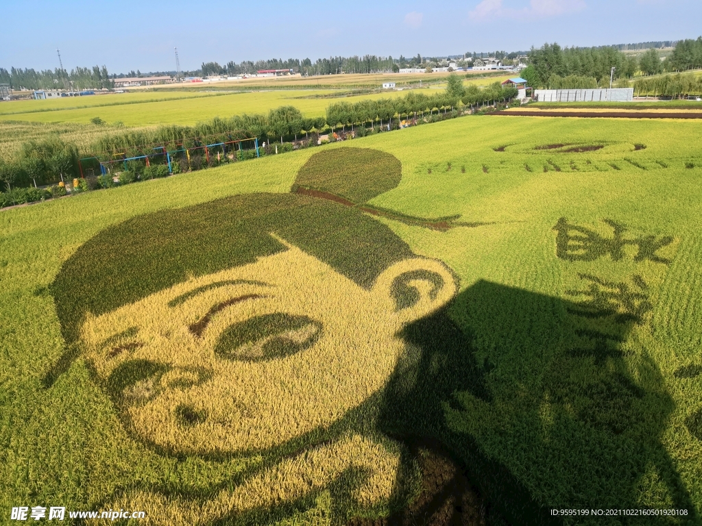 宁夏稻渔空间乡村生态观光园