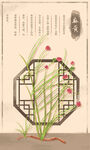 中药材麻黄