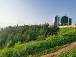 双月湾 海边 树林 度假村