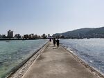 惠州双月湾海堤