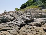惠州双月湾圆洲岛
