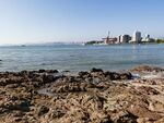 惠州双月湾海边礁石滩风景