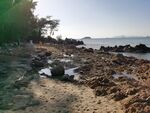 惠州双月湾海滩礁石风光