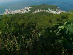 惠州双月湾 森林大海蓝天