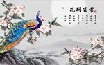 孔雀 