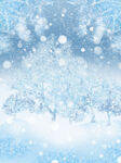 圣诞节冰雪树枝冬季雪花浪漫唯美