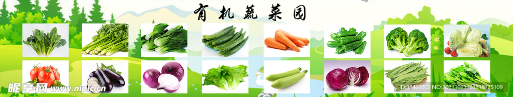 有机蔬菜